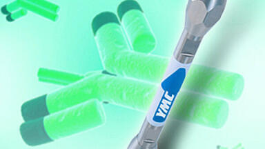 RP Analyses of Monoclonal Antibodies Using YMC-Triart Bio C4 and High Temperatures